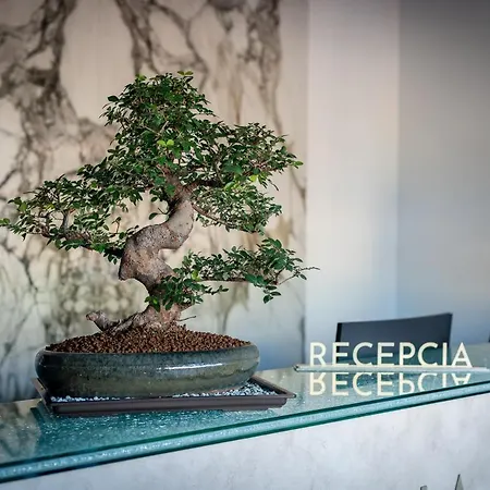 Ξενοδοχείο Zemplen 4*